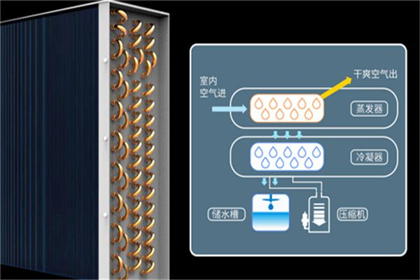 為什么醫(yī)院需要使用除濕機？